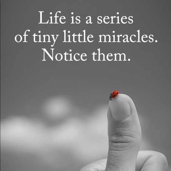 Meet your Posher, Stace❣️🤗✨ - Picture 4 of 7